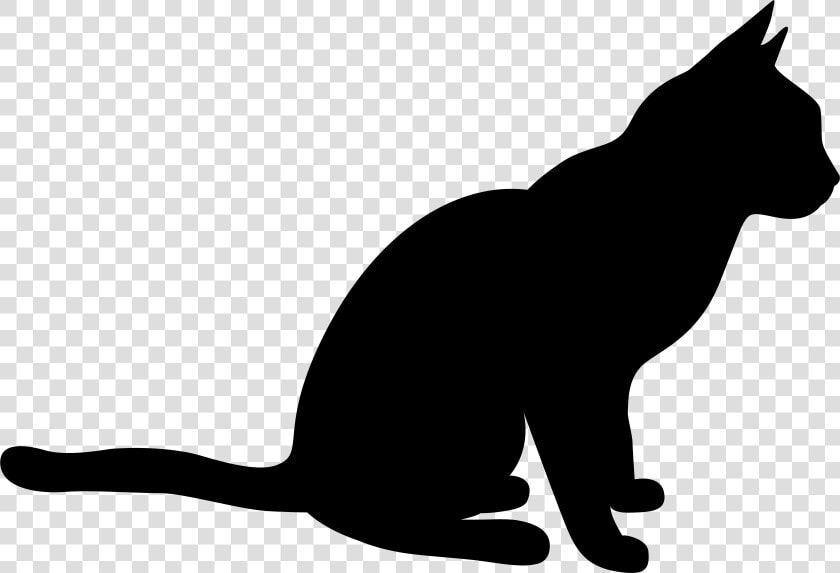 Black Cat Black And Animal Shadow Clipart Of Epinions    Black Cat Clipart Png  Transparent PngTransparent PNG