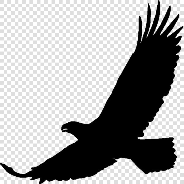 Art Black Eagle Transprent Png Free Download   Stickers Aigle  Transparent PngTransparent PNG