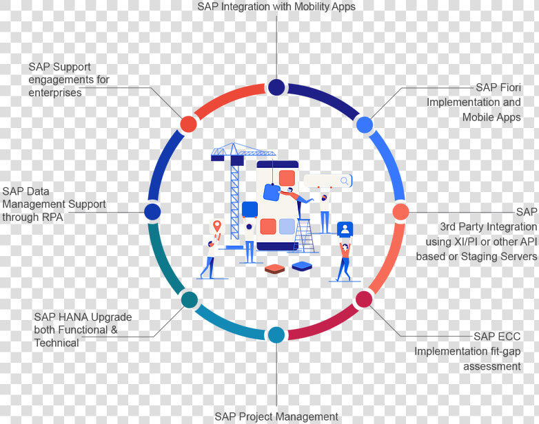 Info Sap Practice   Key In Taxonomical Aids  HD Png DownloadTransparent PNG