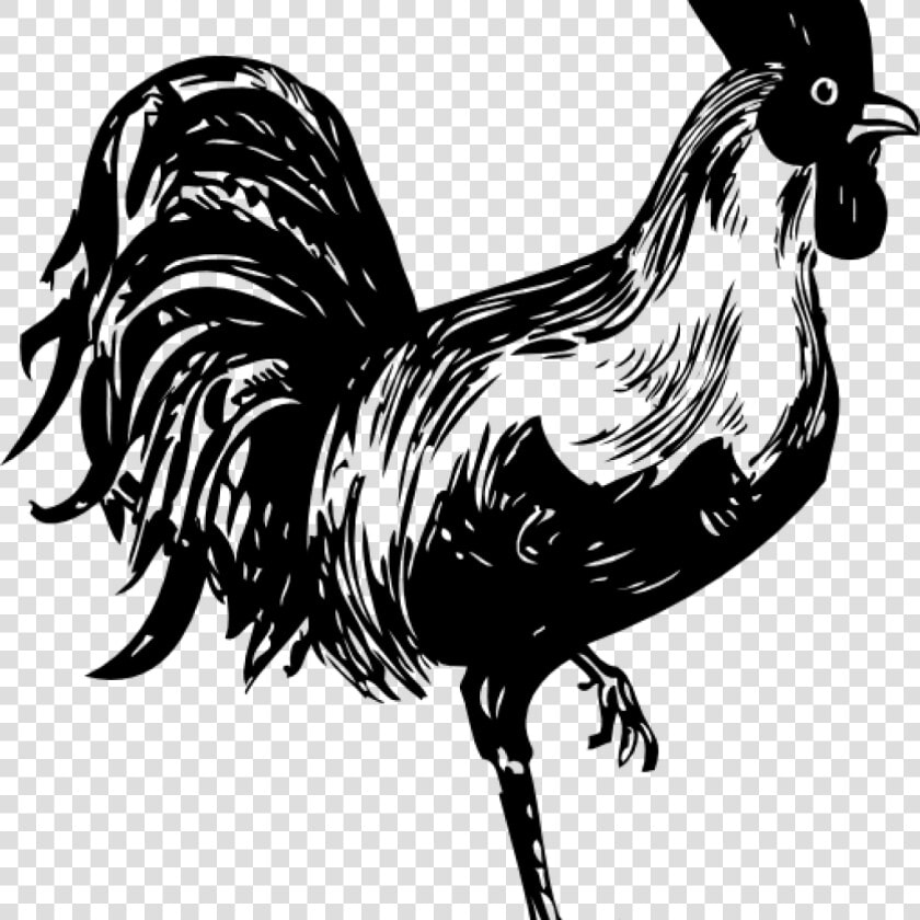 Rooster Clipart Black And White Rooster Clip Art At   Dont Skip Leg Day Shirt  HD Png DownloadTransparent PNG