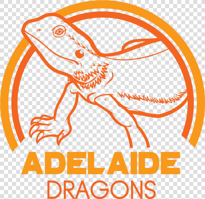 Draw A Bearded Dragon   Lizard Colouring  HD Png DownloadTransparent PNG