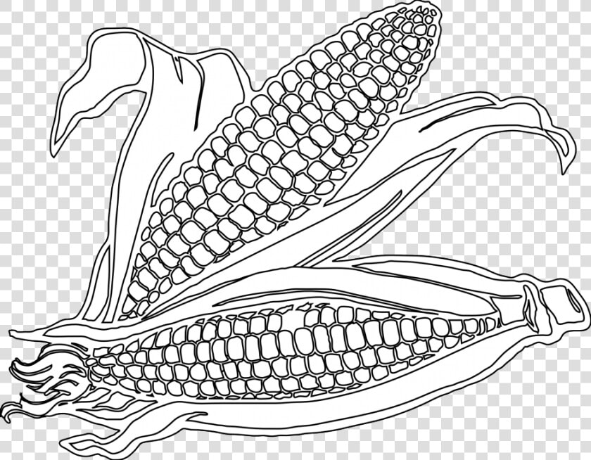 Transparent Corn Stalks Png   Corn Picture Black And White  Png DownloadTransparent PNG