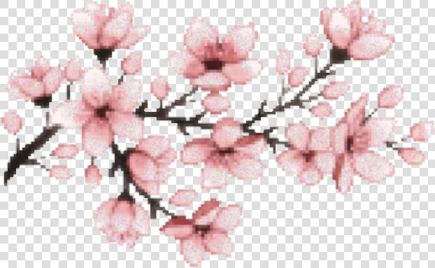  pink  sakura  tumblr  edit  freetoedit  rosa   Pixel Cherry Blossom Png  Transparent PngTransparent PNG