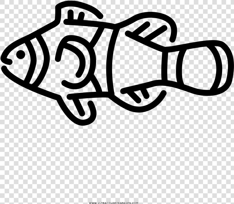 Clown Fish Coloring Page   Pomacentridae  HD Png DownloadTransparent PNG