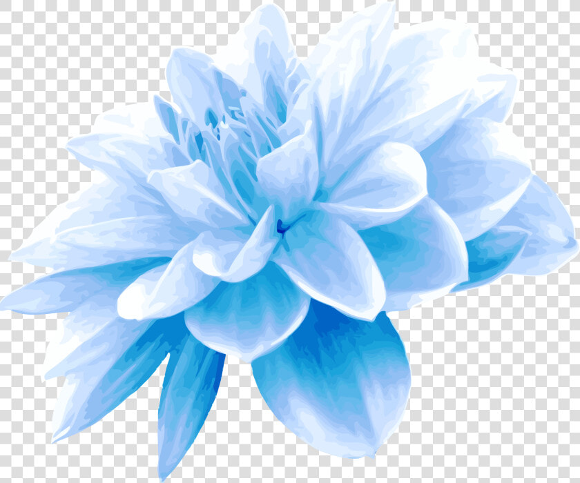 Collection Of Free Flower Transpa Blue On Ubisafe   Light Blue Flowers Png  Transparent PngTransparent PNG