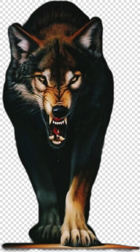  angry  wolf  animals  mouth   Angry Wolf Images Hd  HD Png DownloadTransparent PNG