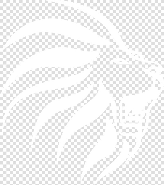 Lion Of Judah   Illustration  HD Png DownloadTransparent PNG