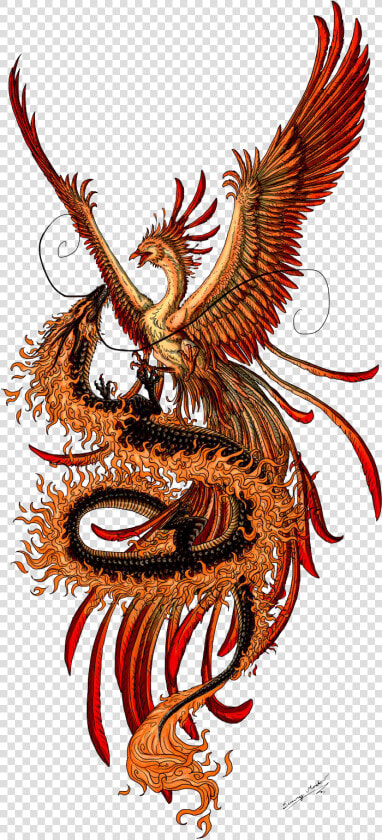 Png Best Phoenix Tattoos Png Images   Dragon Phoenix  Transparent PngTransparent PNG