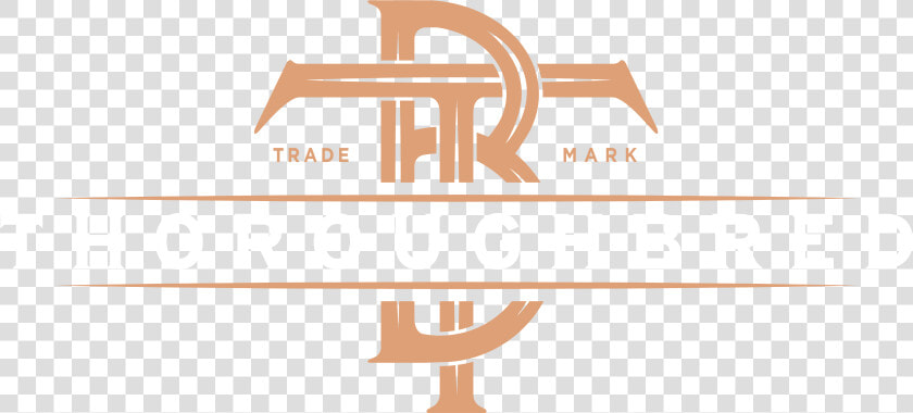 Thoroughbred Spirits Group  HD Png DownloadTransparent PNG