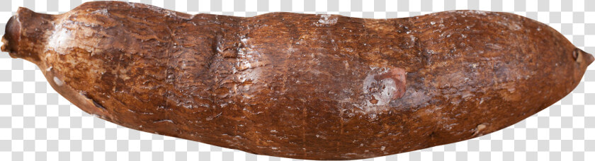 Cassava Yuca Root Png Image   Cassava Png  Transparent PngTransparent PNG