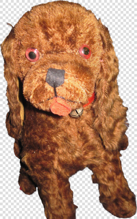 Standard Poodle Miniature Poodle Toy Poodle Cockapoo   Toy Poodle  HD Png DownloadTransparent PNG