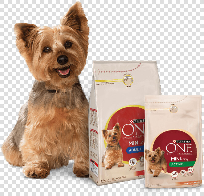 Purina One Small Dog  HD Png DownloadTransparent PNG