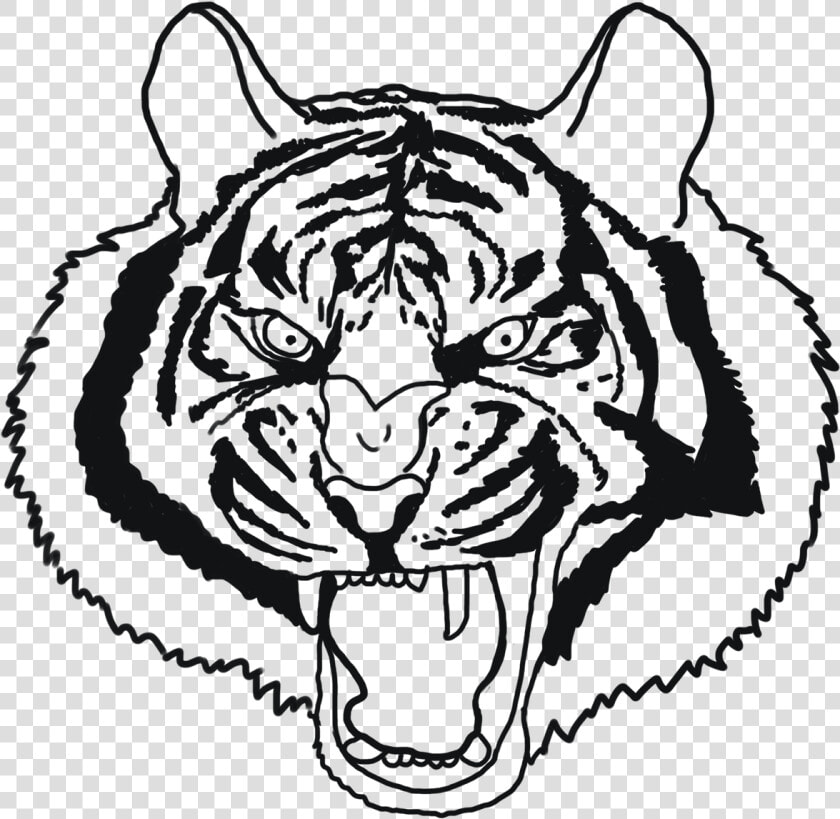 Tiger Face Drawing Angry Tiger  HD Png DownloadTransparent PNG