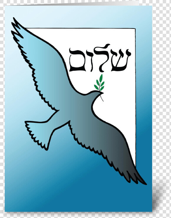 Shalom At Passover Dove Greeting Card   Bird Of Prey  HD Png DownloadTransparent PNG