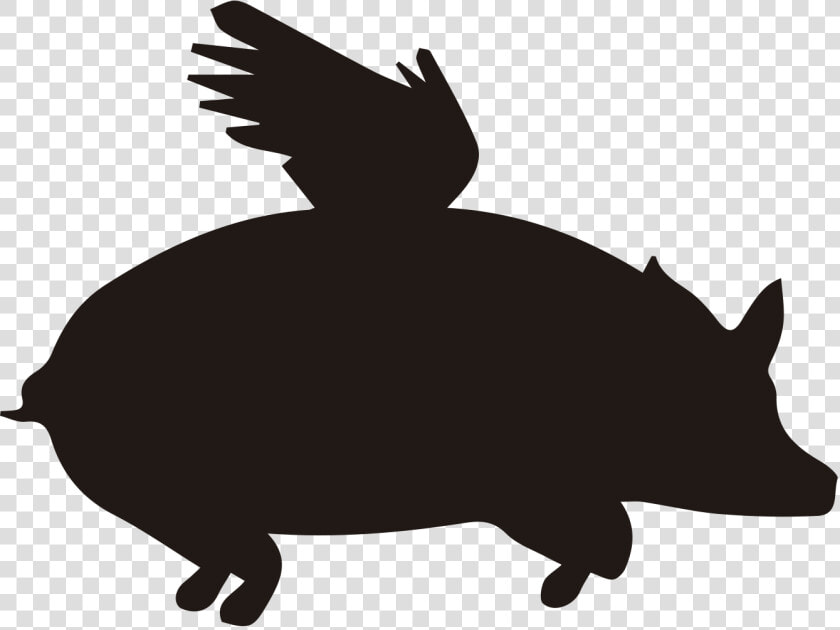 Punxsutawney Phil  HD Png DownloadTransparent PNG