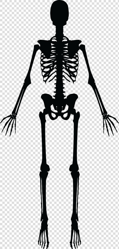 Skeleton Silhouette   Skeleton Clipart Black And White  HD Png DownloadTransparent PNG