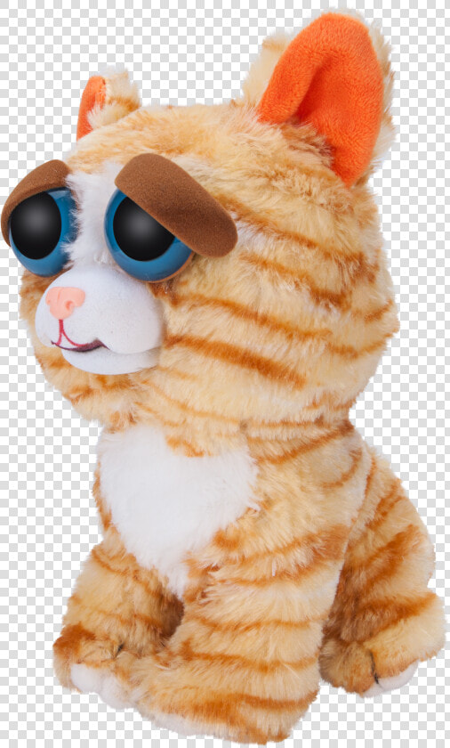 Window Box Feisty Pets Orange Cat Plush   Tiger  HD Png DownloadTransparent PNG