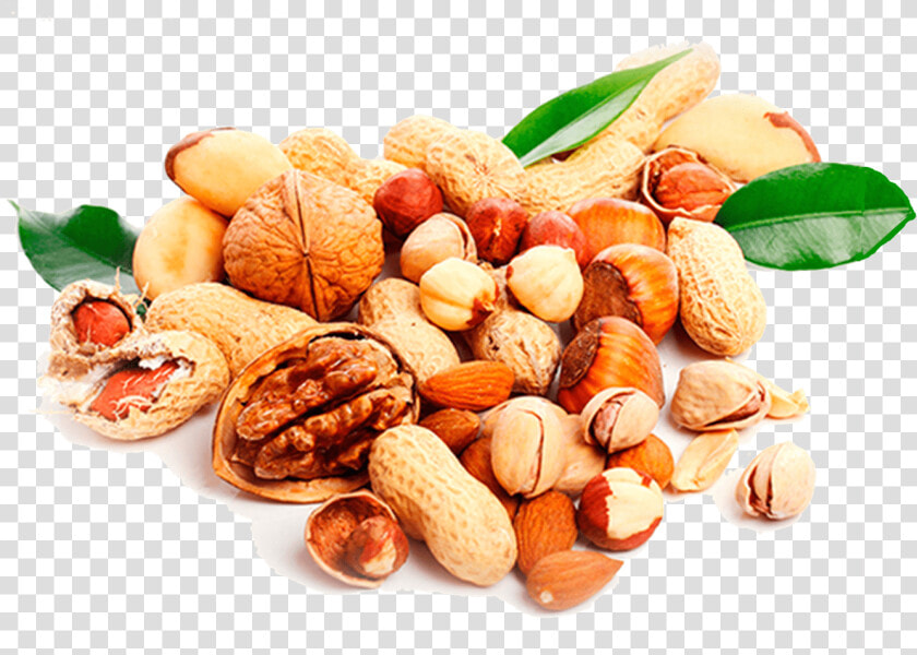 Nuts Transparent Diet   Dry Fruits Images Png  Png DownloadTransparent PNG