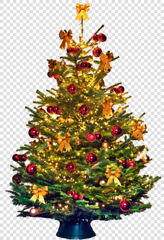 Kerstboom  HD Png DownloadTransparent PNG