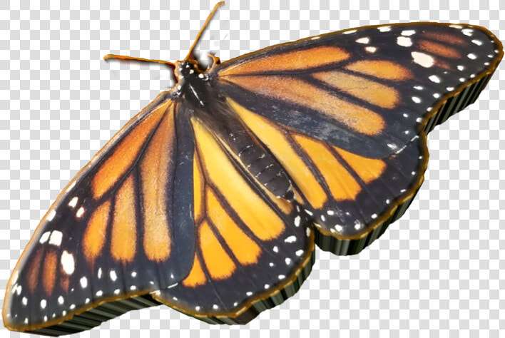 Sticker Custom3d 3d Butterfly  jws33 😀🙋   Monarch Butterfly  HD Png DownloadTransparent PNG