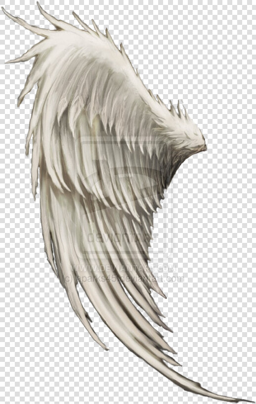 Wing Angel Clip Art   Male Angel Wings Hd Png  Transparent PngTransparent PNG