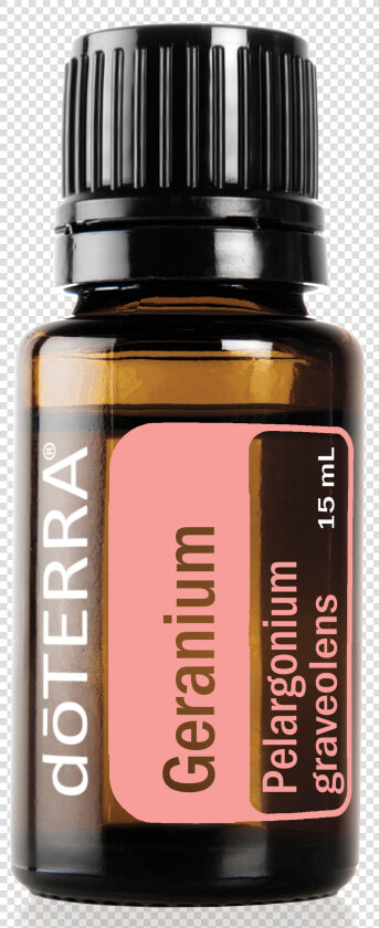 Geranio Olio Essenziale Doterra   Geranio Doterra  HD Png DownloadTransparent PNG