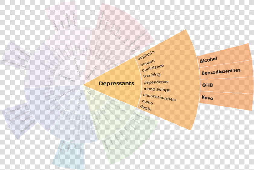 Drug Wheel Segment   Construction Paper  HD Png DownloadTransparent PNG