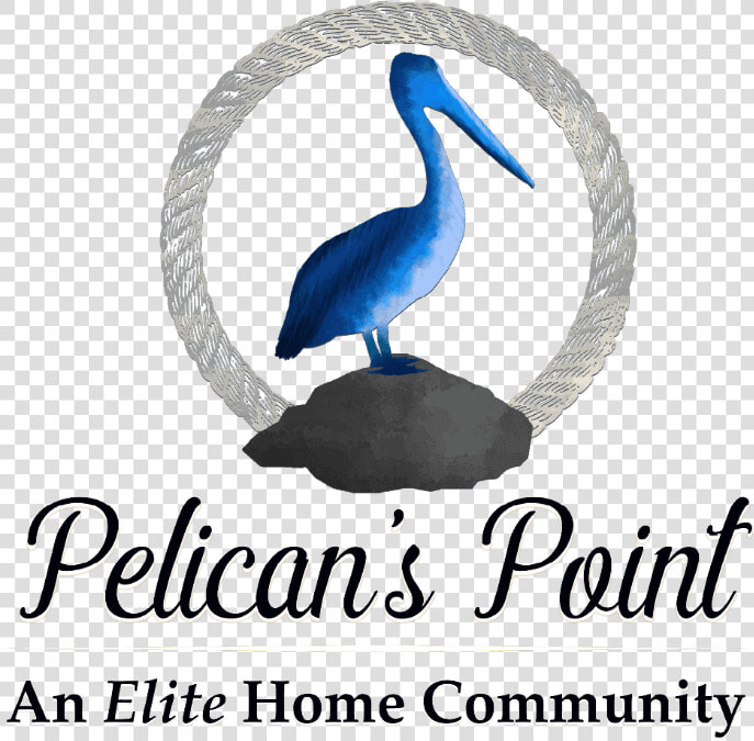 Pelicans Point Subdivision Src   Pelican  HD Png DownloadTransparent PNG