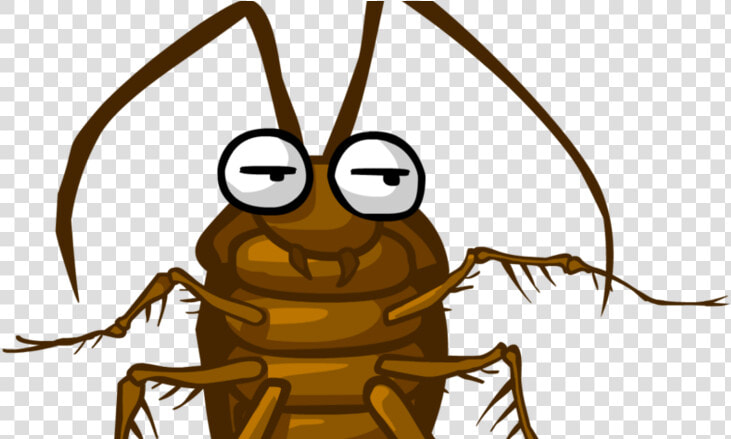 Cucaracha Dibujo  HD Png DownloadTransparent PNG