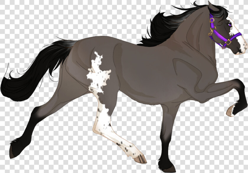 Transparent Filigree Png   Gulastra Plume Black Horse  Png DownloadTransparent PNG