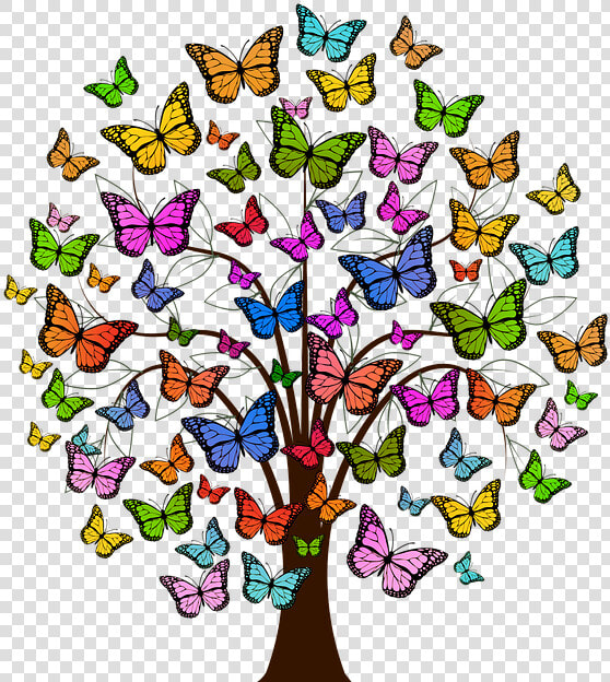 Butterflies  Tree  Colorful  Color  Ease  Elated  Swing   Colorful Butterfly Tree  HD Png DownloadTransparent PNG