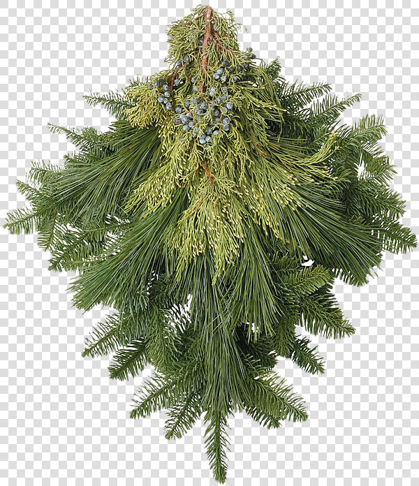 Transparent Christmas Greenery Png   Christmas Greenery Png  Png DownloadTransparent PNG