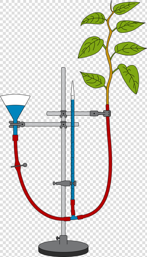 Measurement Of Transpiration With A Potometer   Transpiration Potometer  HD Png DownloadTransparent PNG