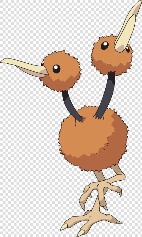 Doduo Pokemon Evolution  HD Png DownloadTransparent PNG