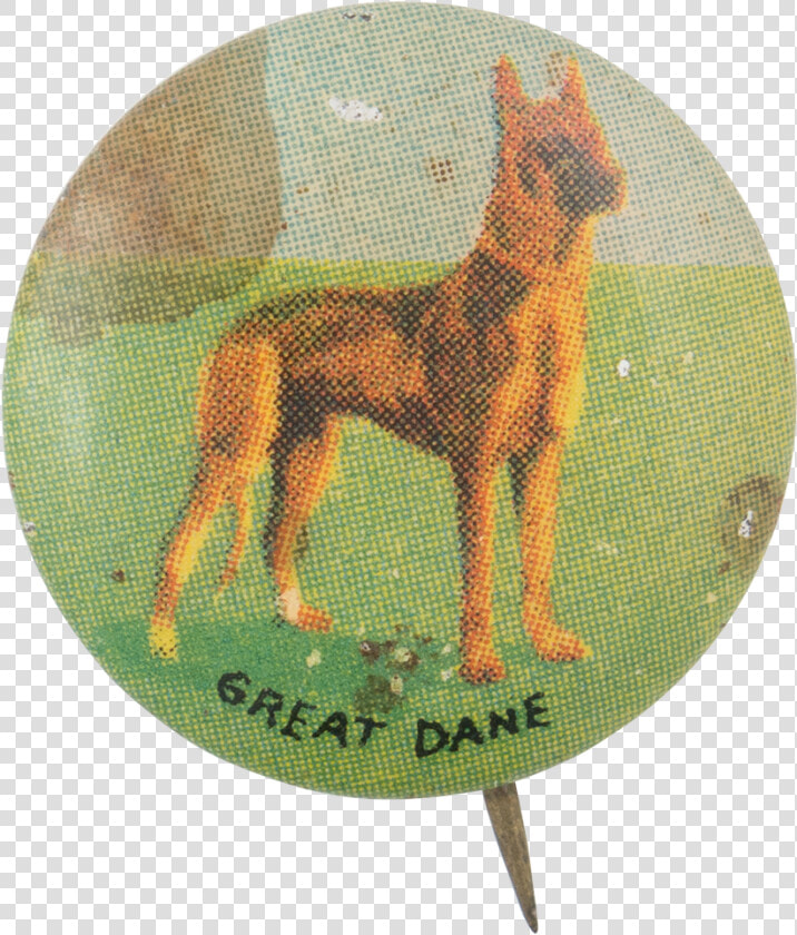 Great Dane Art Button Museum   Old German Shepherd Dog  HD Png DownloadTransparent PNG