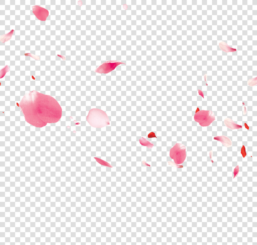  ftestickers  flowers  petals  falling  floating  pink   Illustration  HD Png DownloadTransparent PNG