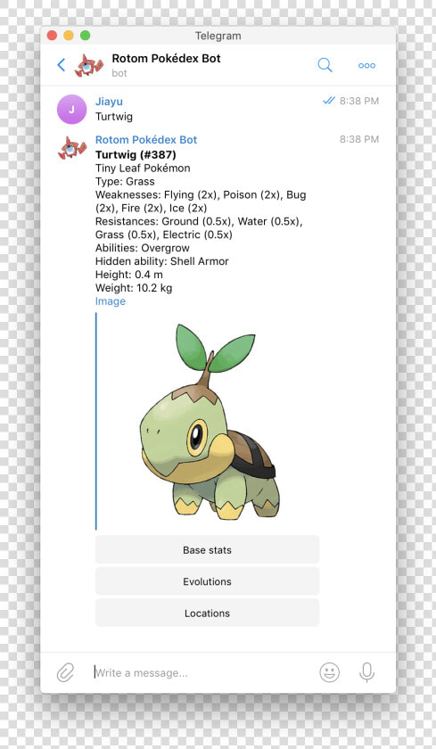 Pokemon Turtwig  HD Png DownloadTransparent PNG