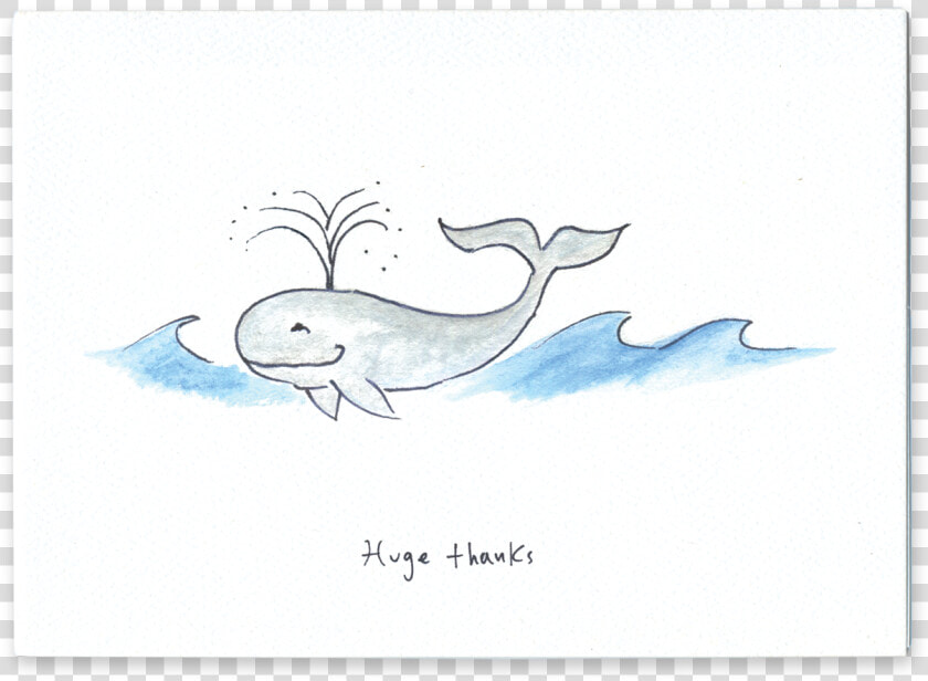 Huge Thanks   Beluga Whale  HD Png DownloadTransparent PNG