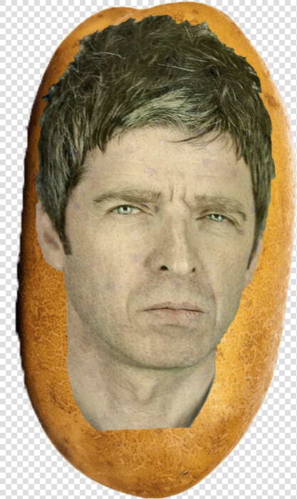 Noel Gallagher Portrait  HD Png DownloadTransparent PNG