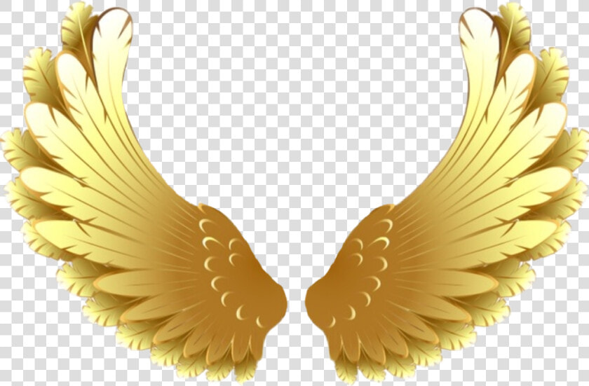  goldwings  wings  golden  goldenwings  pretty  soft   Gold Wings Transparent Background  HD Png DownloadTransparent PNG