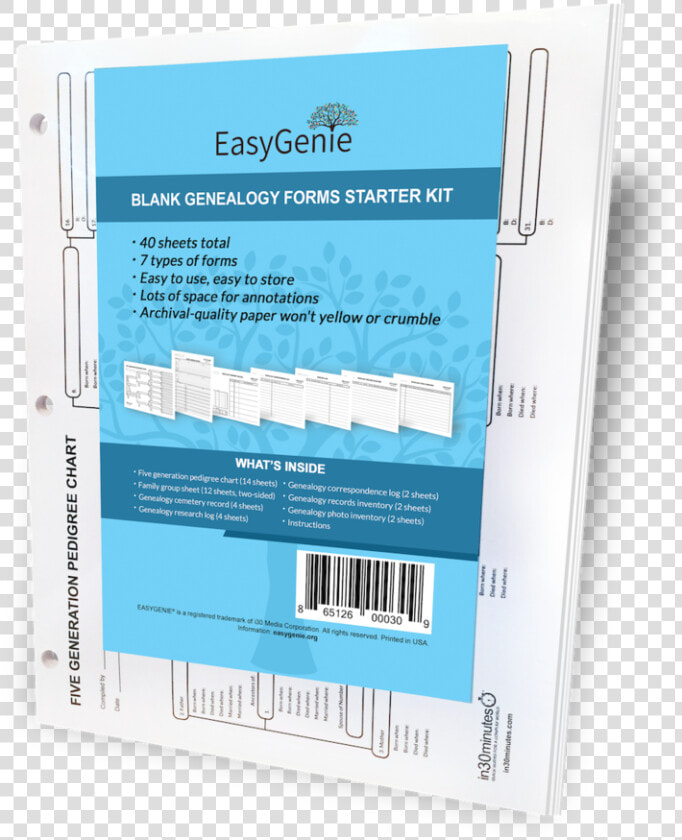 Free Pullout Family Tree Charts  HD Png DownloadTransparent PNG