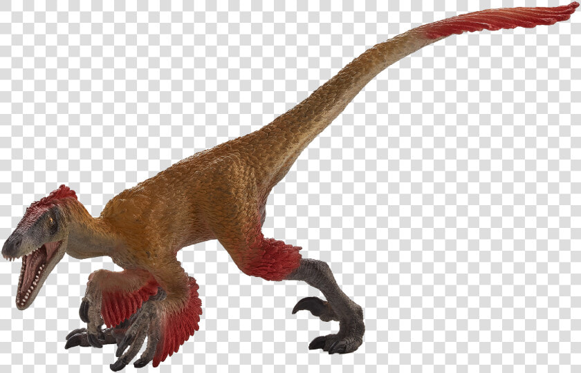 Mojo Deinonychus Amazon  HD Png DownloadTransparent PNG