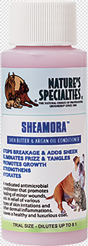 Sheamora® Shea Butter  amp  Argan Oil Conditioner Data zoom   Mosquito  HD Png DownloadTransparent PNG