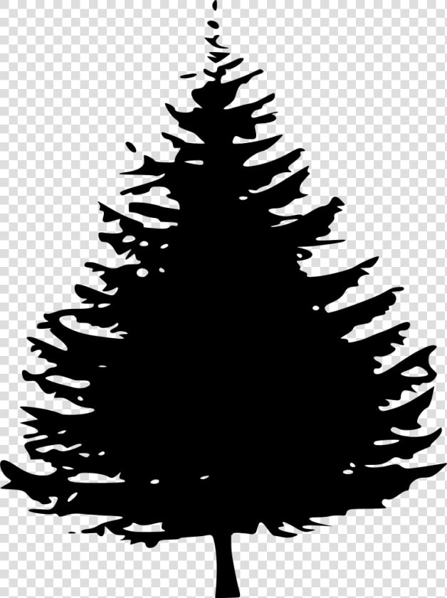 Pine Tree Silhouette Png   Png Download   Pine Tree Silhouette Black  Transparent PngTransparent PNG