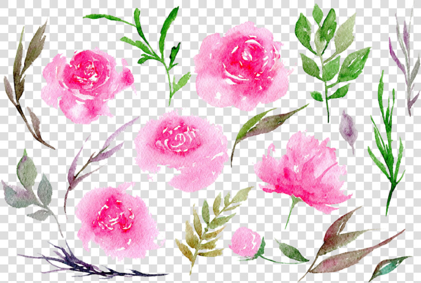  ftestickers  watercolor  flowers  peonies  pink   Pink Peonies Watercolor Png  Transparent PngTransparent PNG