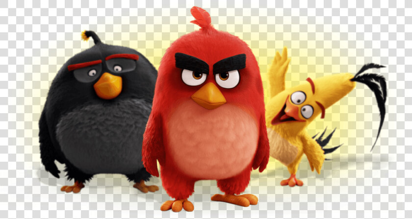 Red Chuck And Bomb Angry Birds  HD Png DownloadTransparent PNG