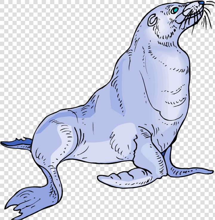 Free Sea Lion Clipart   Sea Lion Clipart  HD Png DownloadTransparent PNG