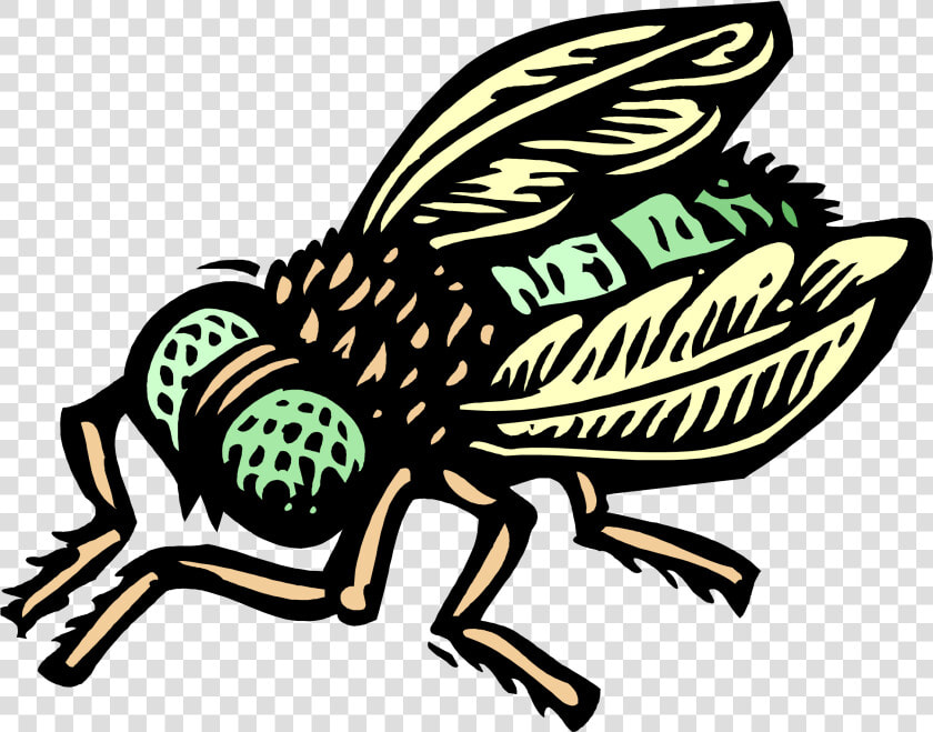 Cartoon House Fly   Transparent Cartoons   Organism Has The Highest Biotic Potential  HD Png DownloadTransparent PNG