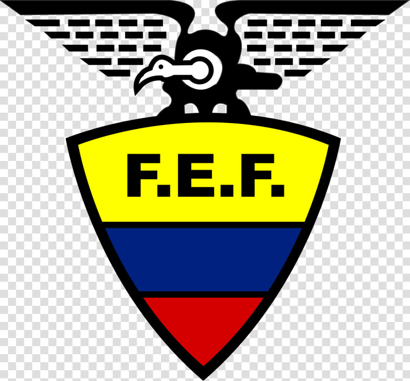 Ecuador Football Team Logo Png   Logo Federacion Ecuatoriana De Futbol  Transparent PngTransparent PNG