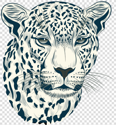 Cheetah Head Png   Realistic Cheetah Face Drawings  Transparent PngTransparent PNG